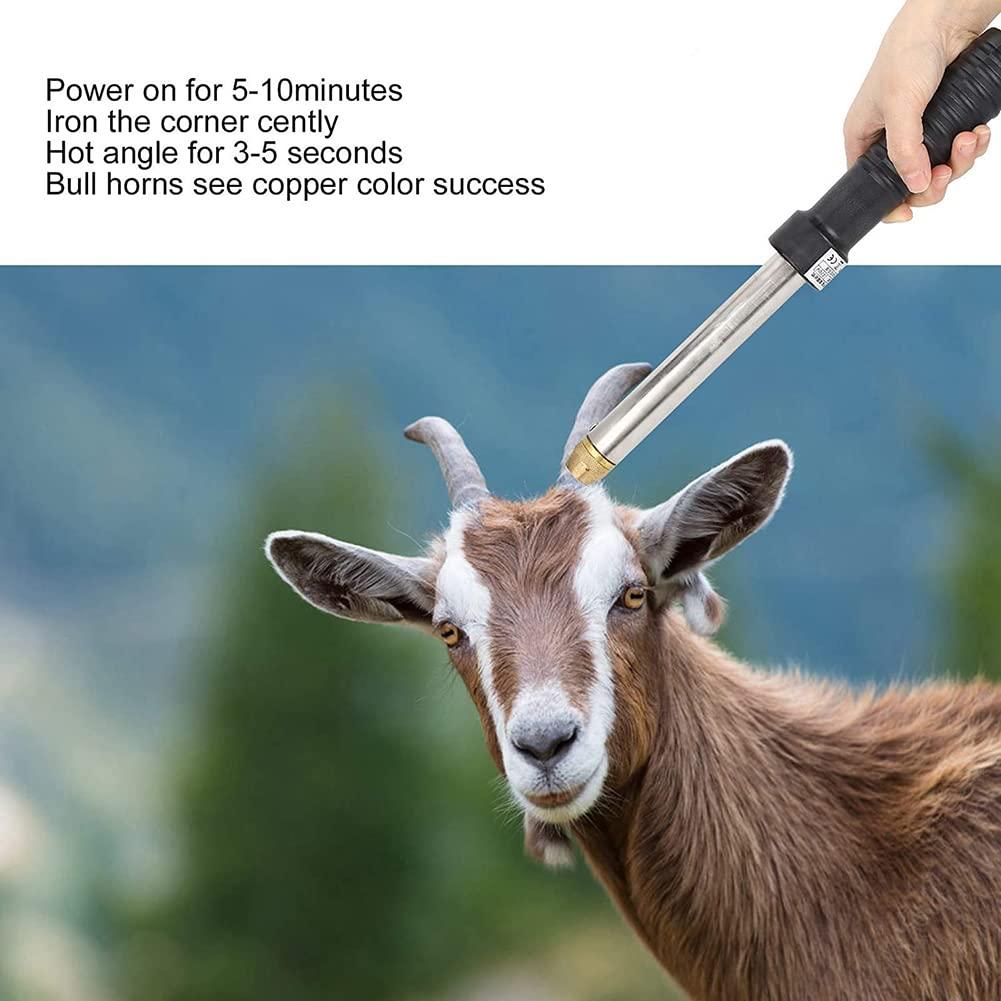 35798acadcdd134a55c310833e01b65e5f7b9cc2_102.jpg