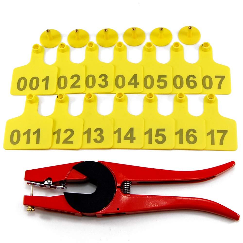 41ae74be94e6def36033b5107520f78a286f8fa8_101.jpg