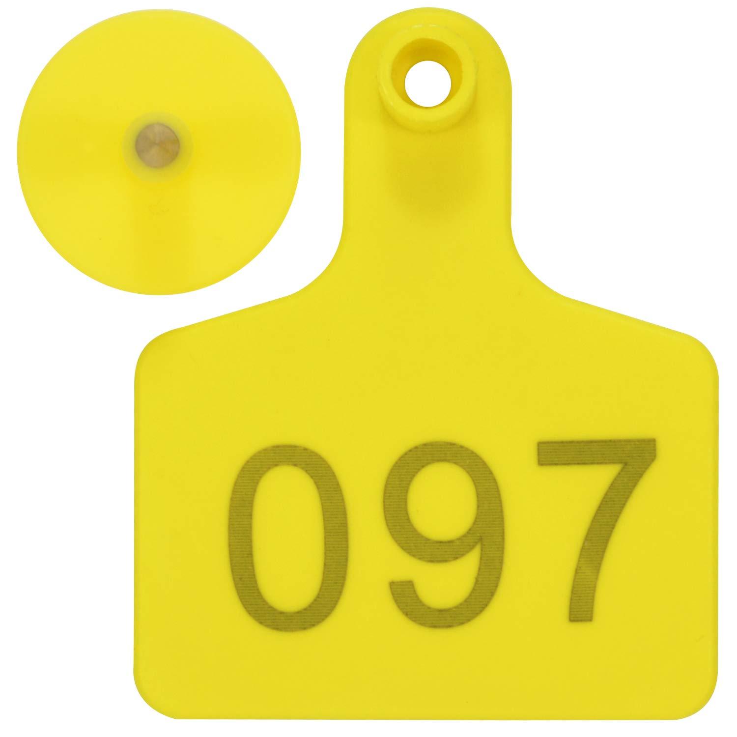 41ae74be94e6def36033b5107520f78a286f8fa8_102.jpg