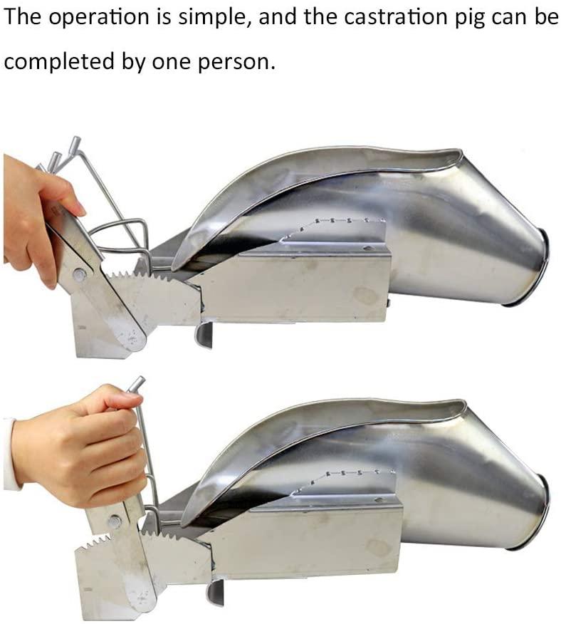 7ae4ba24b9477e049624c273d94e733571add776_105.jpg