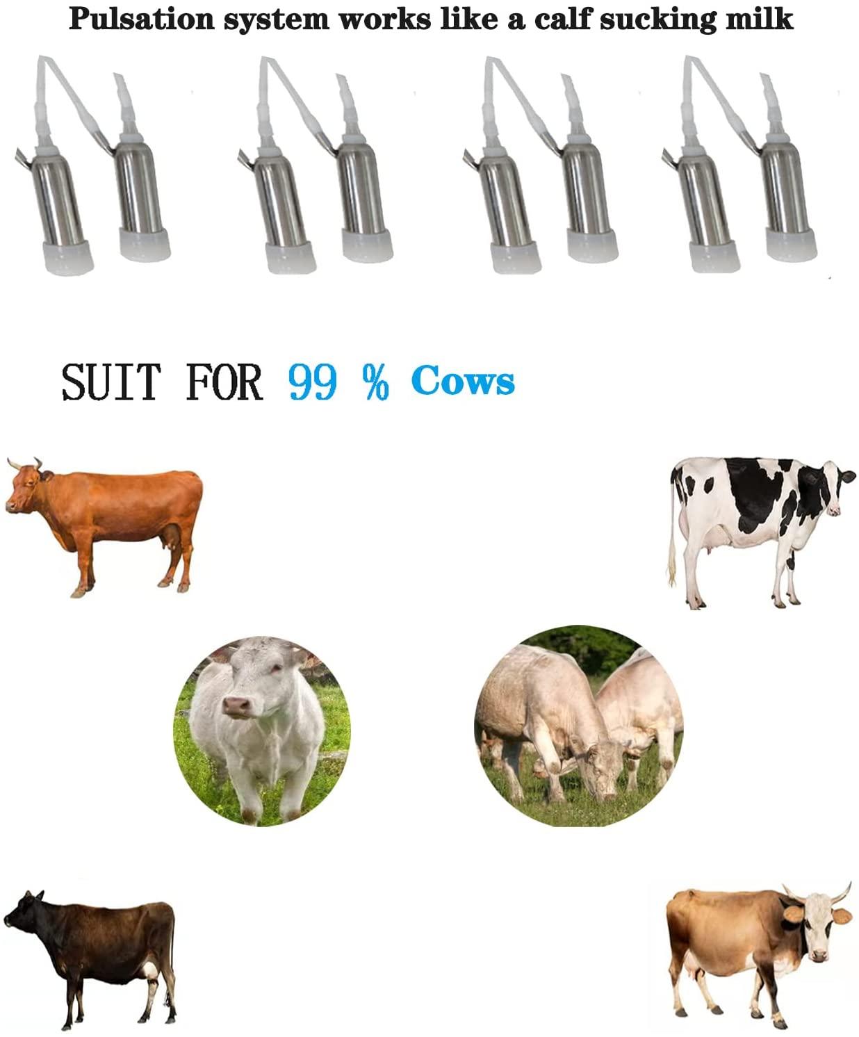 a5b315143f4a869001c662b3bfde3361a6e5d5bf_103.jpg