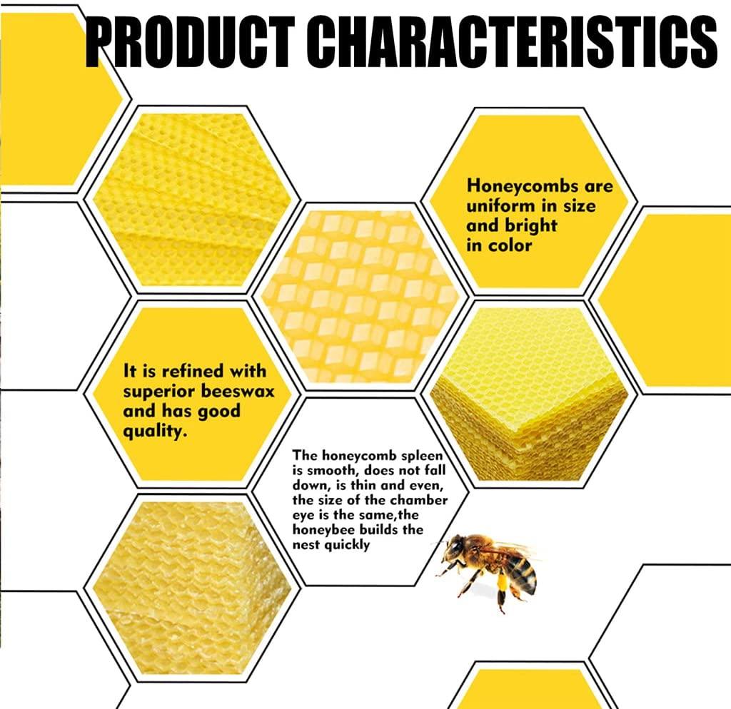 4521354c0263c8d432ba460f106cae1aa6e0ecc6_106.jpg