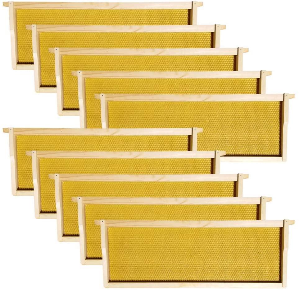 cadd18664731ac25d31b15344568f7f3b3a94908_107.jpg