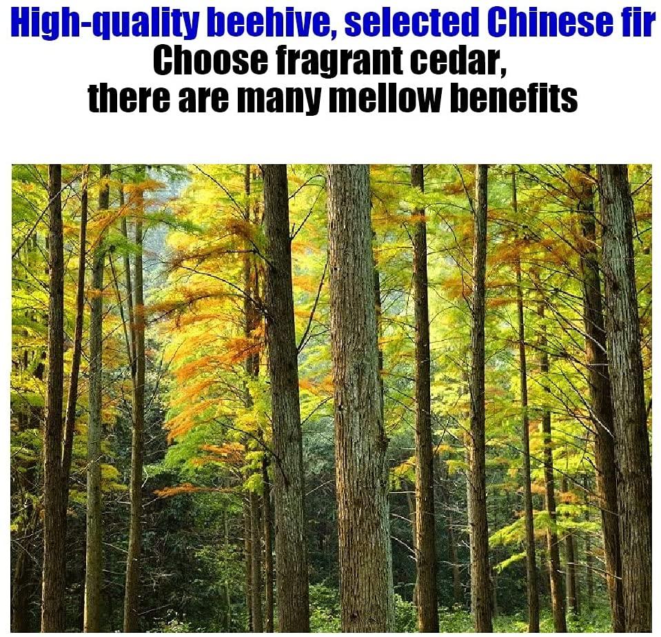 ff9d58b898046ad0077d4e83971d15efd9c4aec8_108.jpg